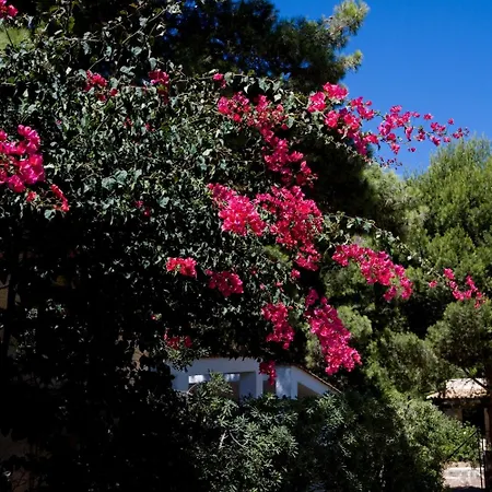 Miramare 4* Фавиньяна