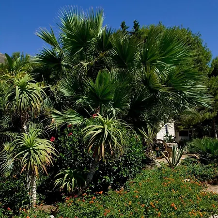 Miramare Фавиньяна