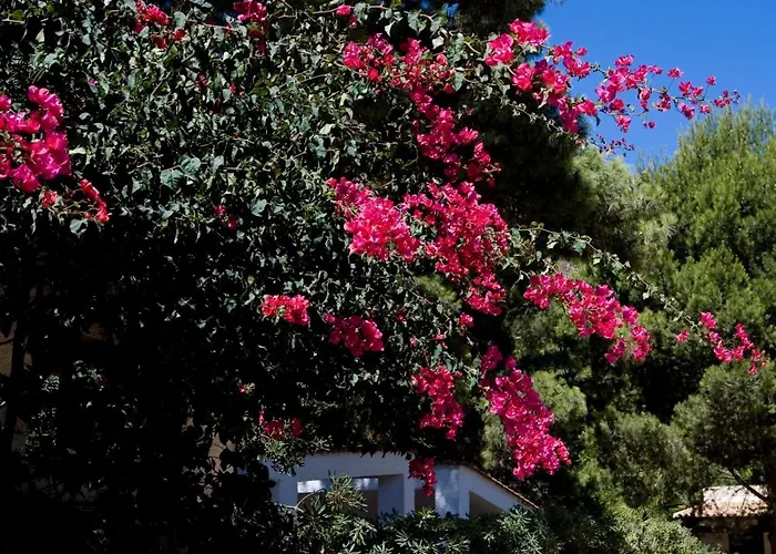 米拉马雷公寓式酒店 4* 法维尼亚纳