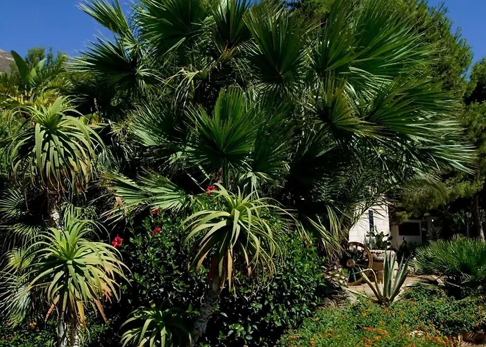 米拉马雷公寓式酒店 法维尼亚纳