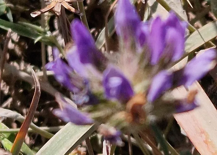 米拉马雷公寓式酒店 4*