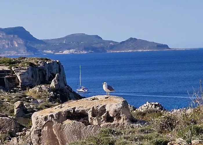 米拉马雷公寓式酒店 4* 法维尼亚纳